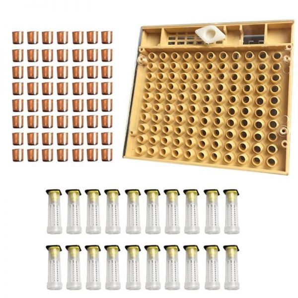 All-in-One Queen Rearing System