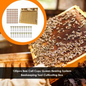 All-in-One Queen Rearing System (120pcs) - BeeKeepShop